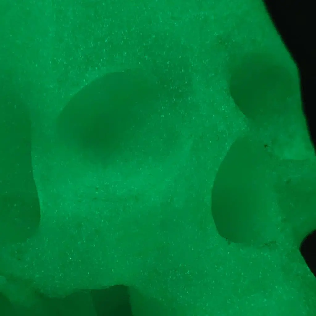 Crânio Caveira 3D